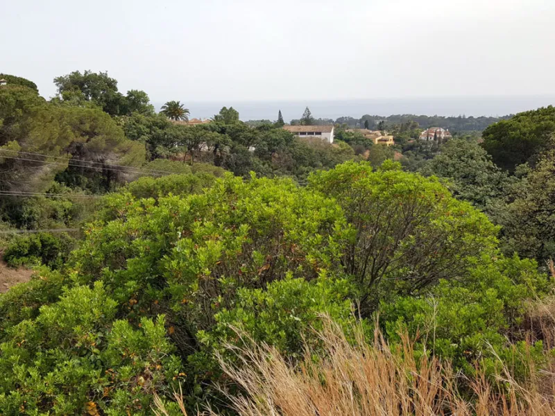19 PLOTS - ELVIRIA - EAST MARBELLA