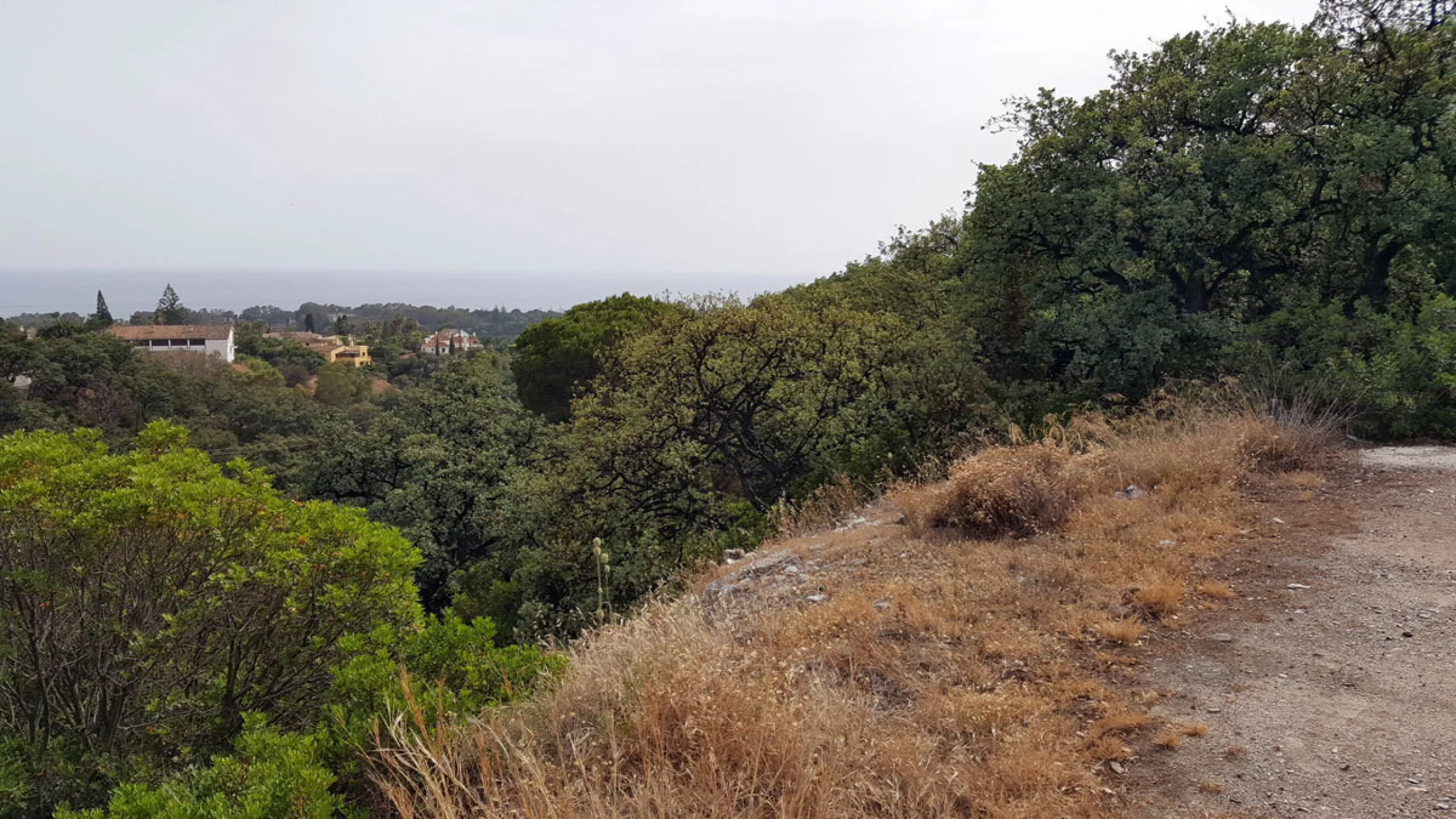 19 PLOTS - ELVIRIA - EAST MARBELLA