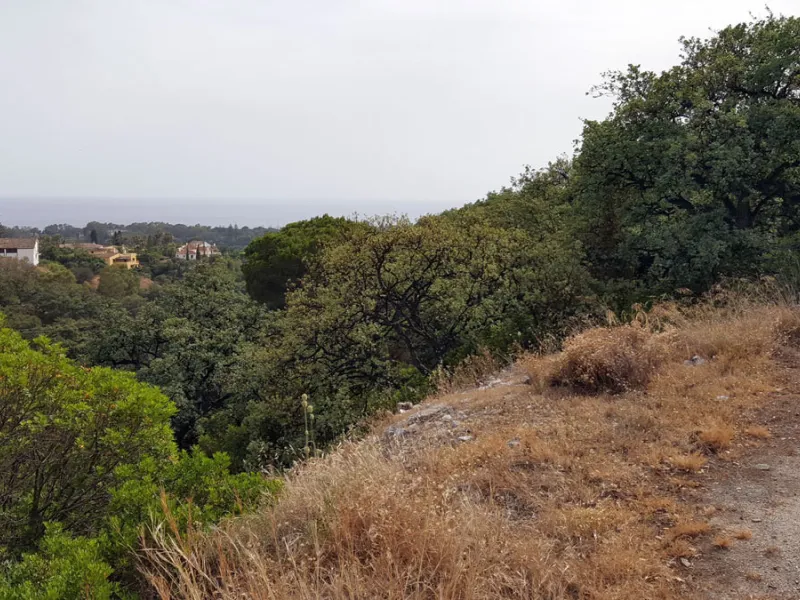 19 PLOTS - ELVIRIA - EAST MARBELLA