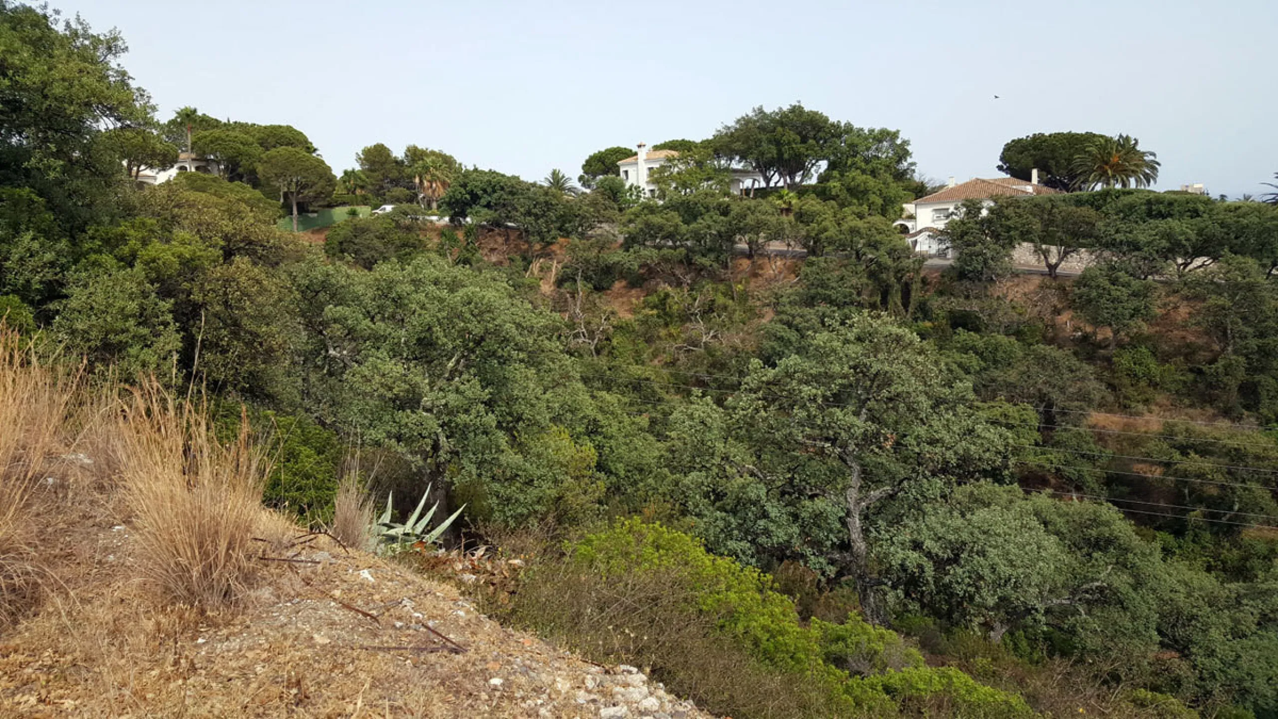 19 PLOTS - ELVIRIA - EAST MARBELLA