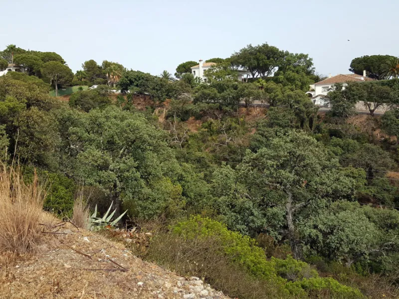 19 PLOTS - ELVIRIA - EAST MARBELLA
