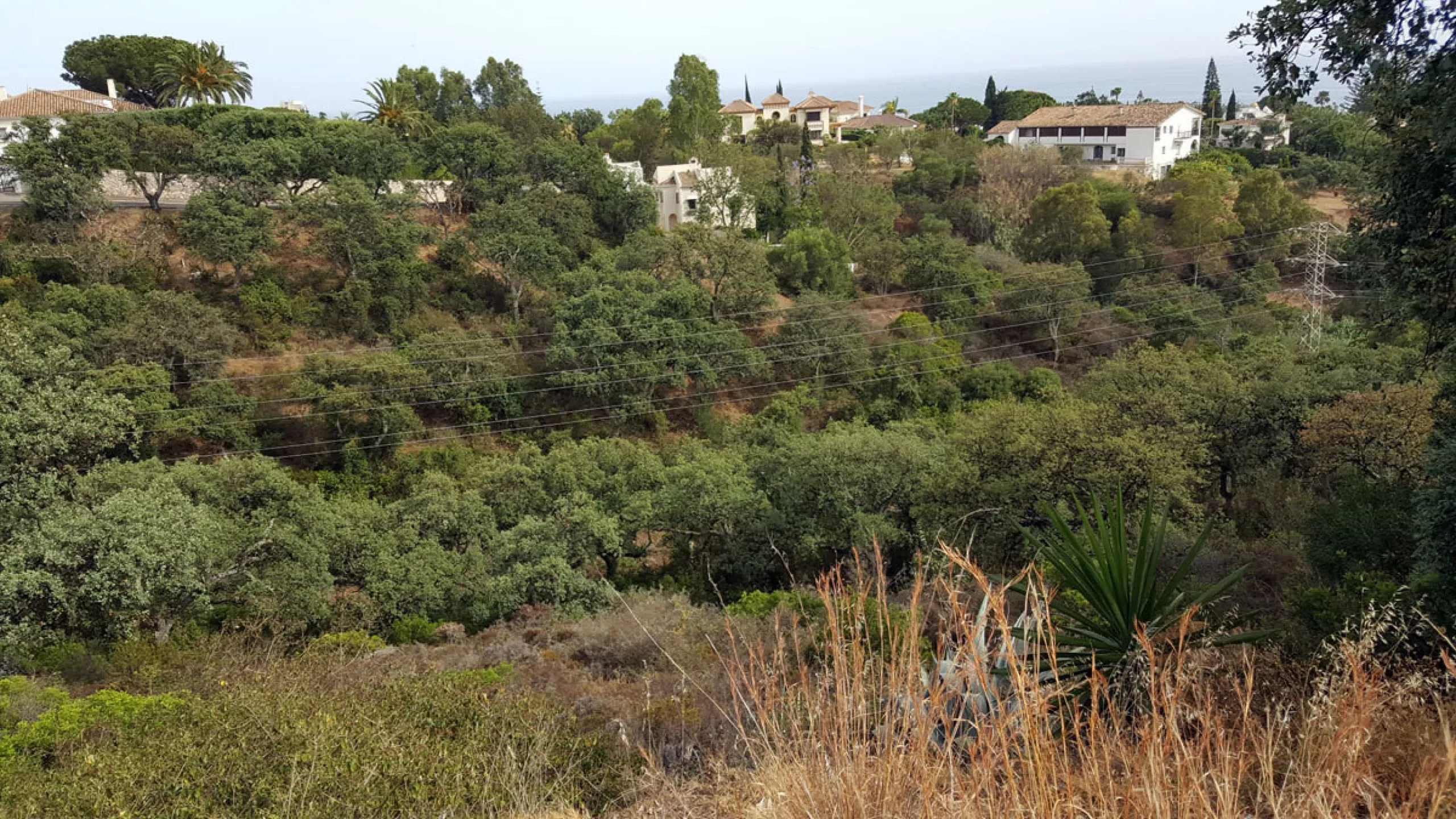 19 PLOTS - ELVIRIA - EAST MARBELLA