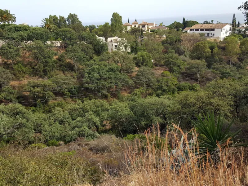 19 PLOTS - ELVIRIA - EAST MARBELLA
