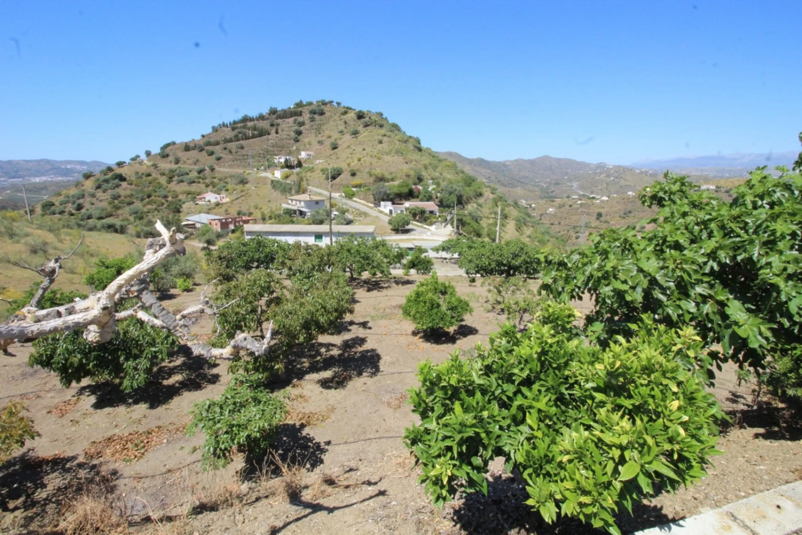 Beautiful 8000 sq. mts. farmhouse near the town of Rubite. The house has a covered terrace, three bedrooms, one bathroom, a lounge with fireplace, kitchen and a garage. Outside, on the upper part of the plot, there is a large swimming pool, a chicken coop