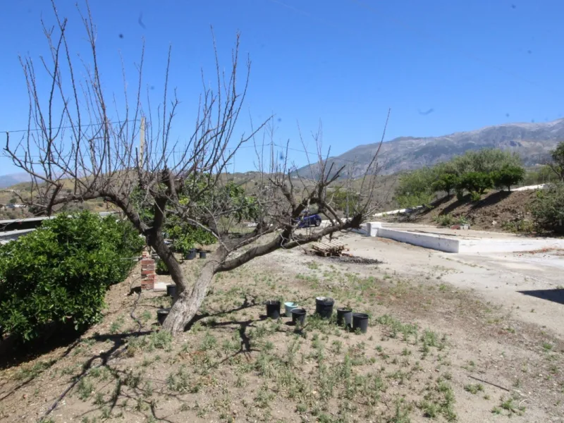 Beautiful 8000 sq. mts. farmhouse near the town of Rubite. The house has a covered terrace, three bedrooms, one bathroom, a lounge with fireplace, kitchen and a garage. Outside, on the upper part of the plot, there is a large swimming pool, a chicken coop