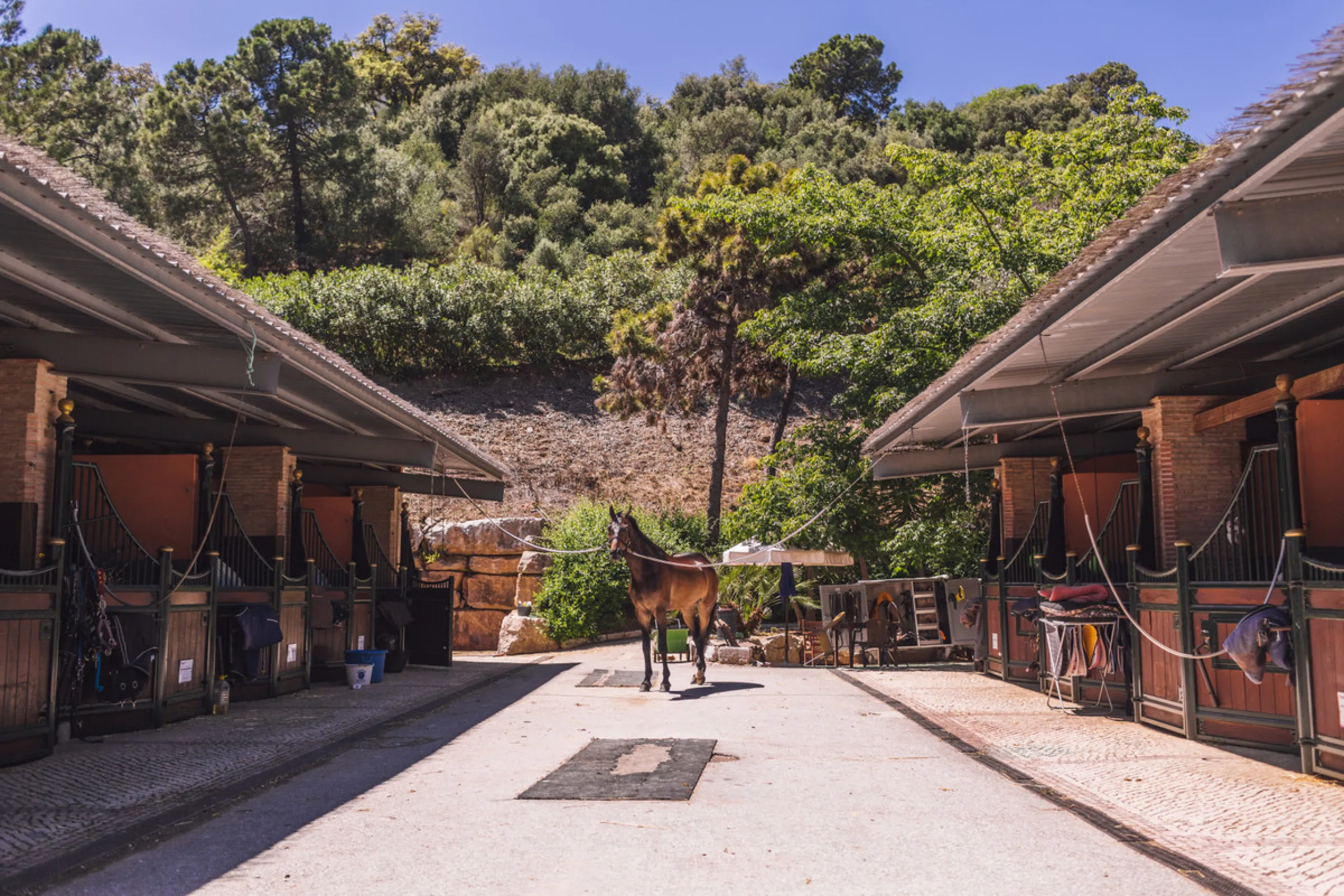 Beautiful 4.196 m2 plot for sale in the exclusive Marbella Club Golf Resort and Equestrian Center. The plot´s building allowance is about 10.6% meaning nearly 450 m2 in up to two floors plus terraces and basement (most likely with views due to the slope).