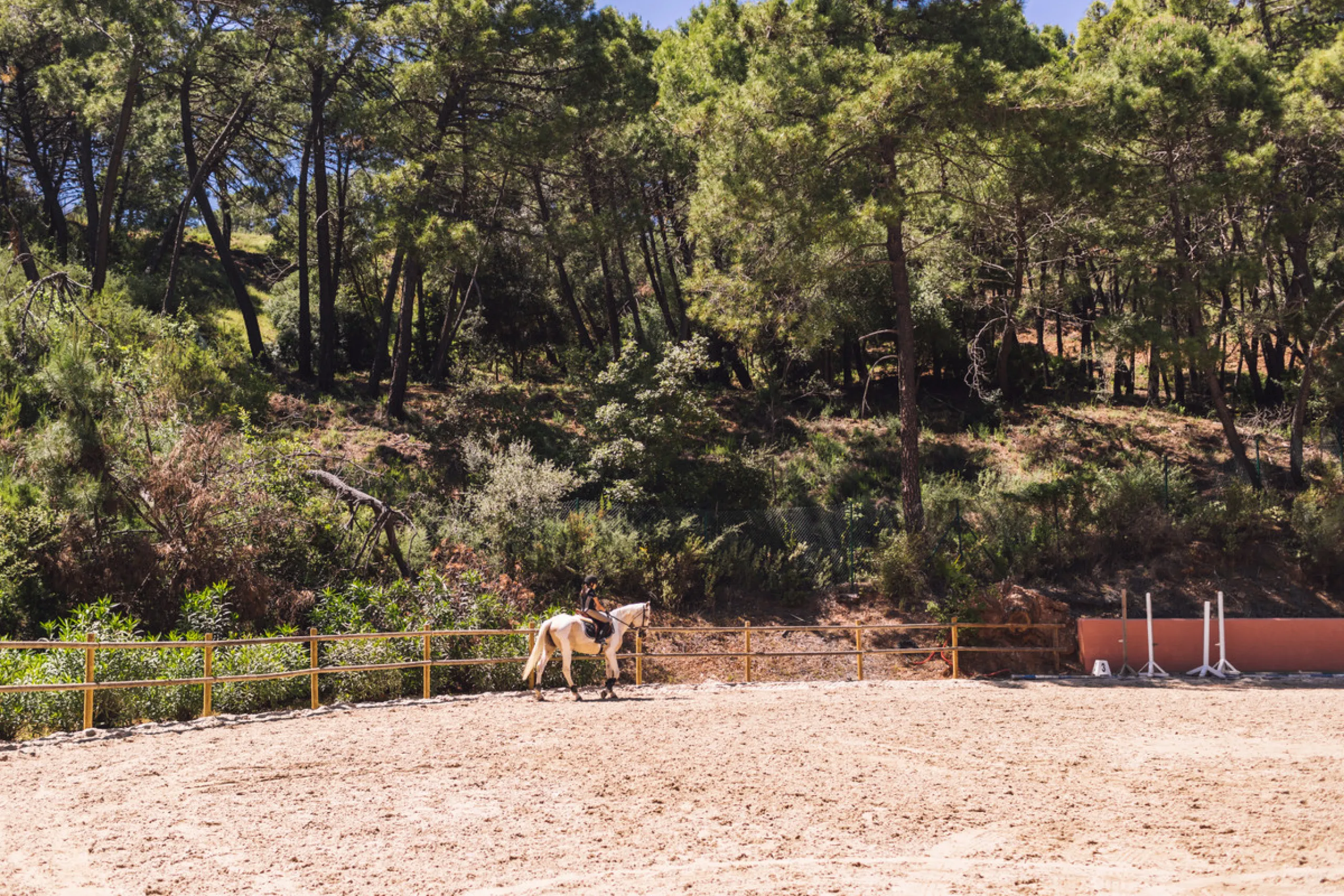 Beautiful 4.196 m2 plot for sale in the exclusive Marbella Club Golf Resort and Equestrian Center. The plot´s building allowance is about 10.6% meaning nearly 450 m2 in up to two floors plus terraces and basement (most likely with views due to the slope).