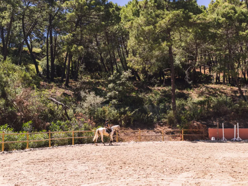 Beautiful 4.196 m2 plot for sale in the exclusive Marbella Club Golf Resort and Equestrian Center. The plot´s building allowance is about 10.6% meaning nearly 450 m2 in up to two floors plus terraces and basement (most likely with views due to the slope).