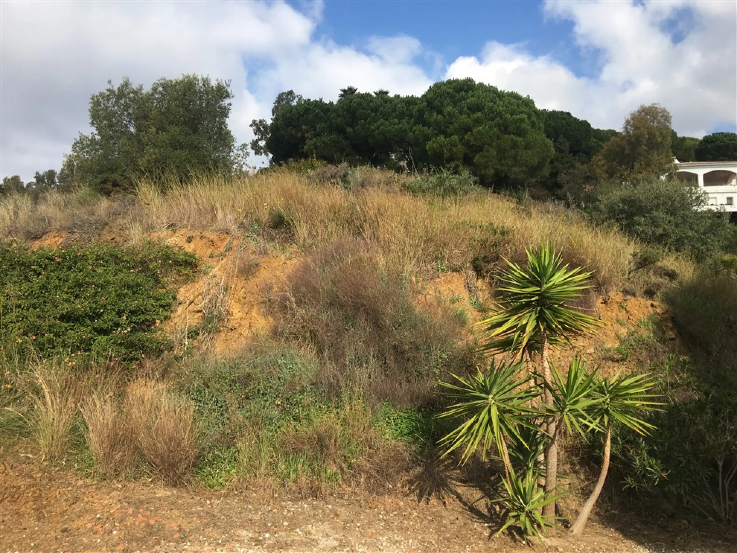 Fabulous plot of land located in one of the most sought after urbanization's in la costa del sol. Only minutes to the coast and also from the famous village of. Mijas. It enjoys panoramic sea and Mountain Views, quiet and private situation and ideal for b