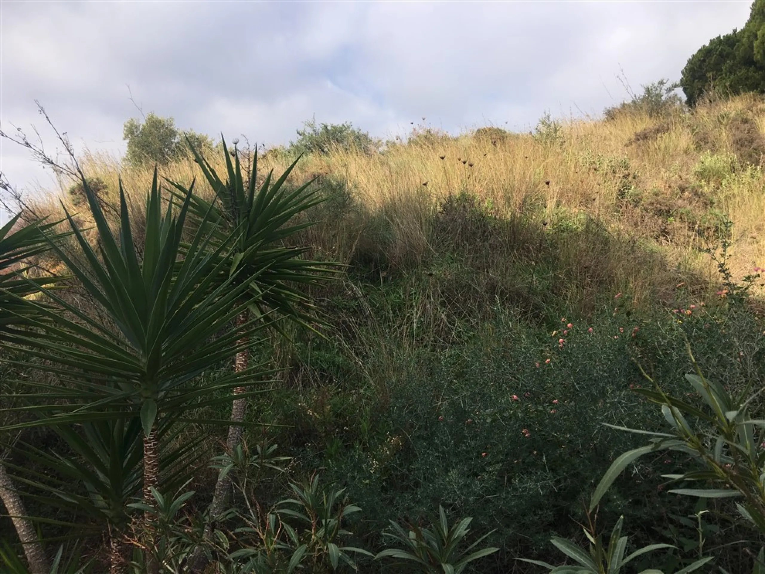 Fabulous plot of land located in one of the most sought after urbanization's in la costa del sol. Only minutes to the coast and also from the famous village of. Mijas. It enjoys panoramic sea and Mountain Views, quiet and private situation and ideal for b