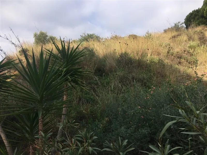 Fabulous plot of land located in one of the most sought after urbanization's in la costa del sol. Only minutes to the coast and also from the famous village of. Mijas. It enjoys panoramic sea and Mountain Views, quiet and private situation and ideal for b