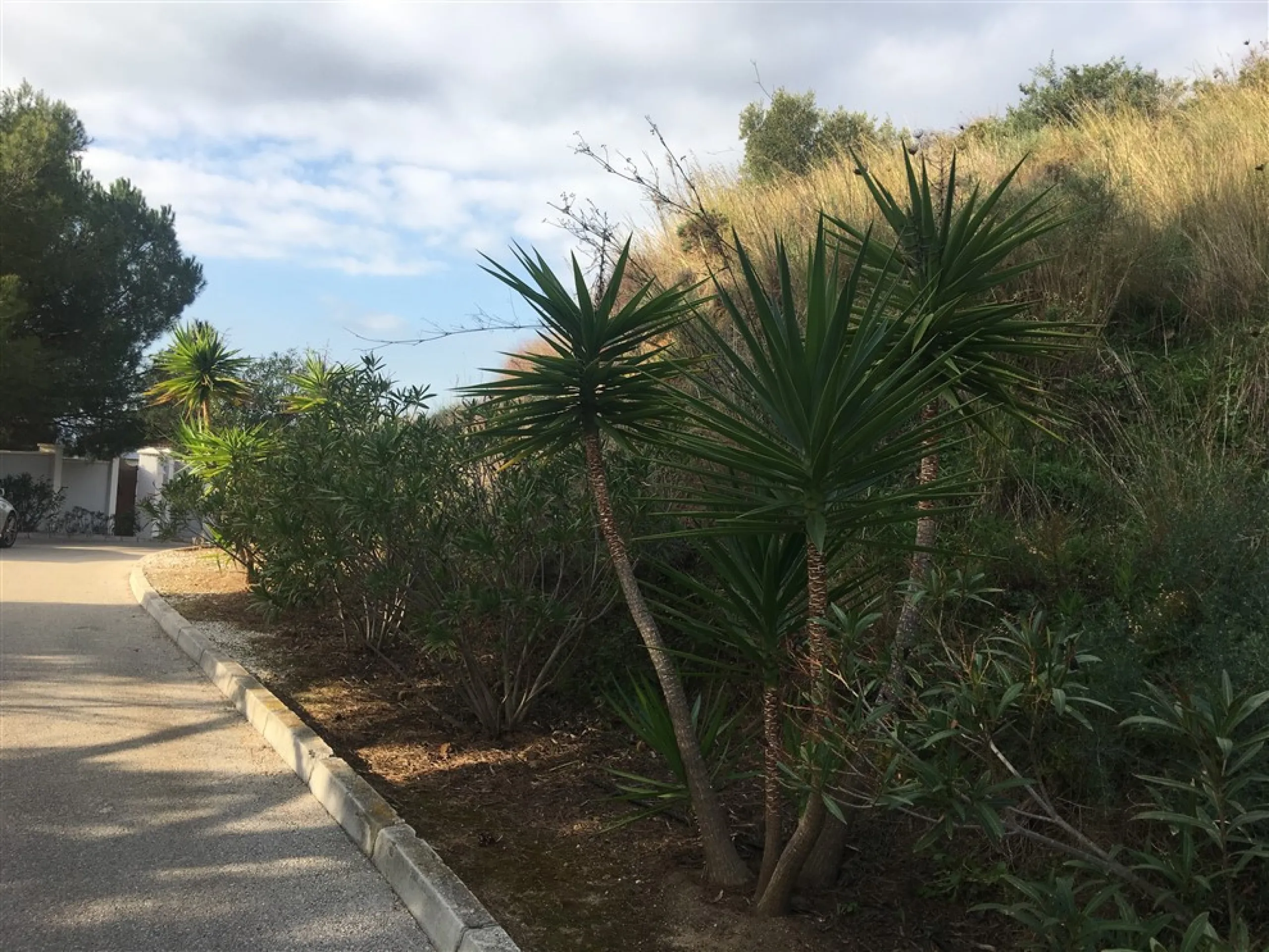 Fabulous plot of land located in one of the most sought after urbanization's in la costa del sol. Only minutes to the coast and also from the famous village of. Mijas. It enjoys panoramic sea and Mountain Views, quiet and private situation and ideal for b
