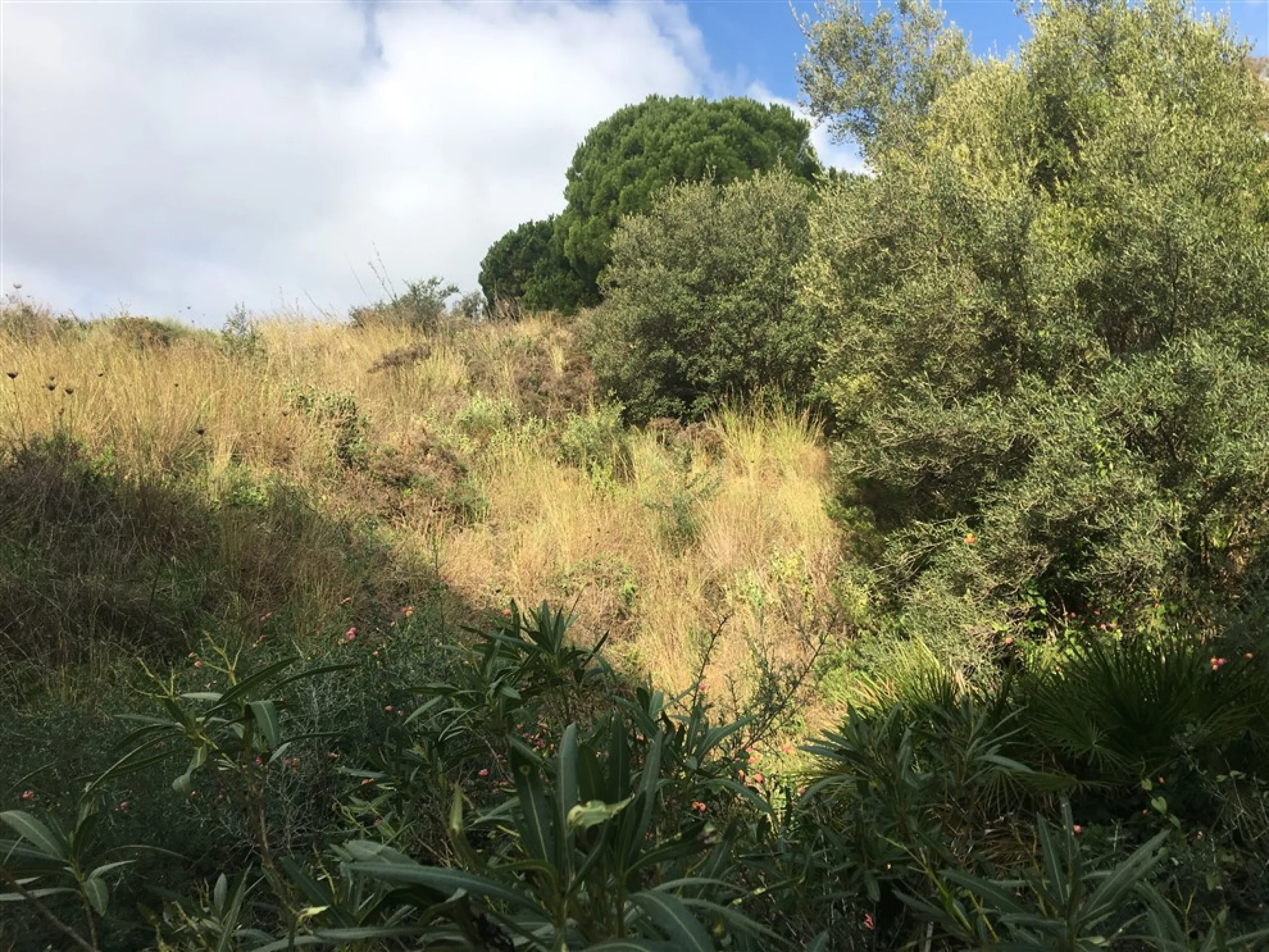 Fabulous plot of land located in one of the most sought after urbanization's in la costa del sol. Only minutes to the coast and also from the famous village of. Mijas. It enjoys panoramic sea and Mountain Views, quiet and private situation and ideal for b