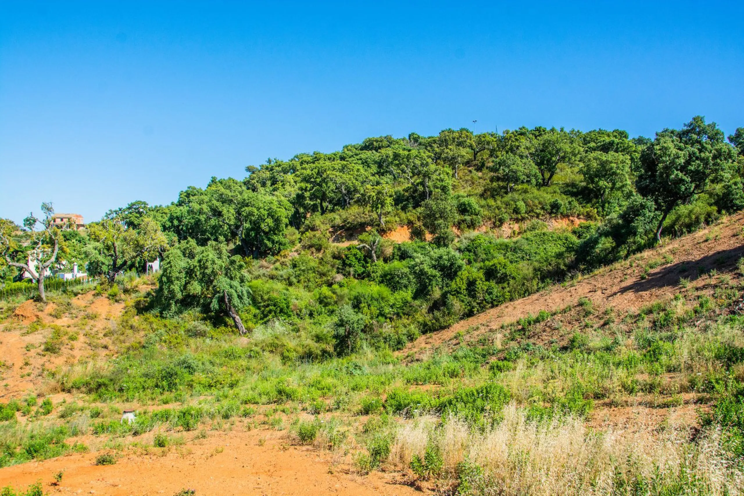1508 Residential Plot, La Mairena, Costa del Sol.