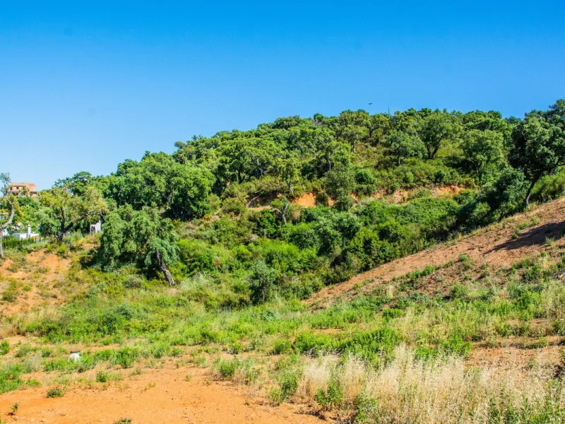 1508 Residential Plot, La Mairena, Costa del Sol.