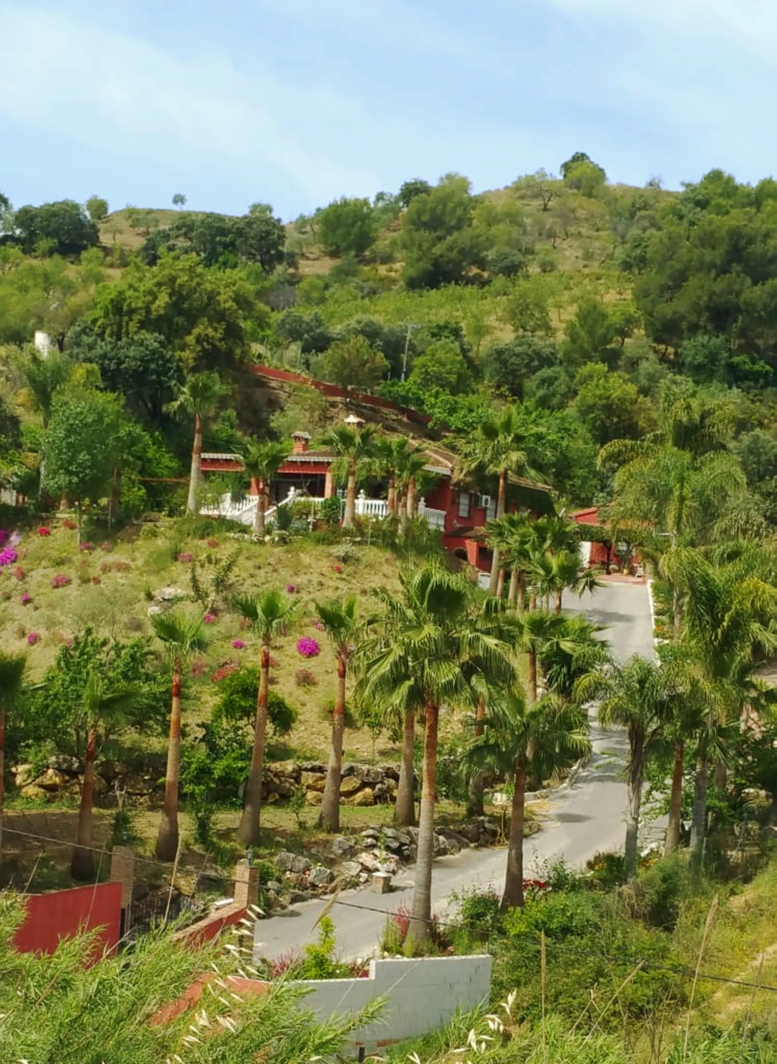 Opportunity at Bargain price! Lovely country house set between the picturesque Andalusian villages of Monda and Guaro, just a few kilometres away from Marbella, with stunning views over the countryside and the beautiful mountains of the Sierra de Las Niev