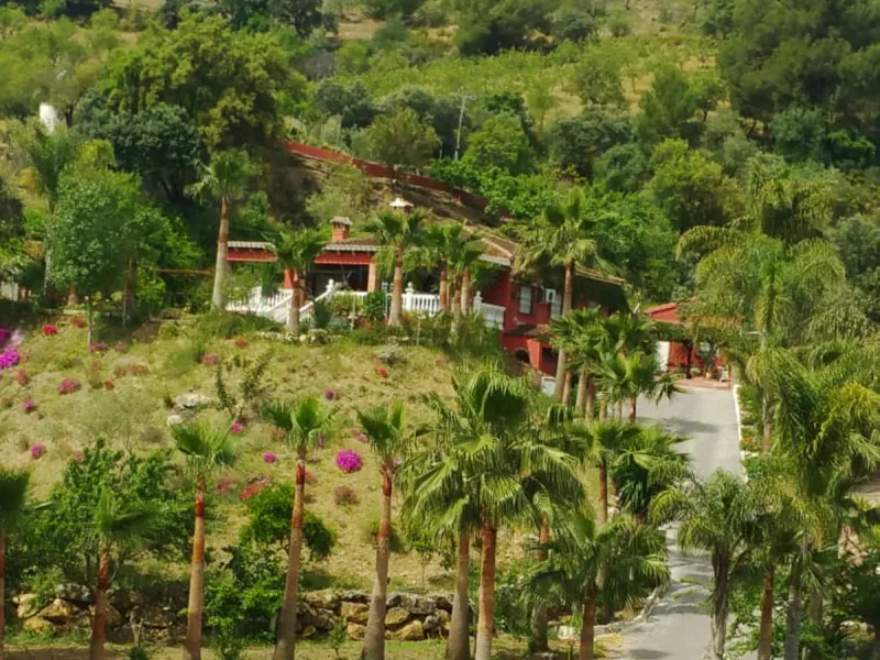 Opportunity at Bargain price! Lovely country house set between the picturesque Andalusian villages of Monda and Guaro, just a few kilometres away from Marbella, with stunning views over the countryside and the beautiful mountains of the Sierra de Las Niev