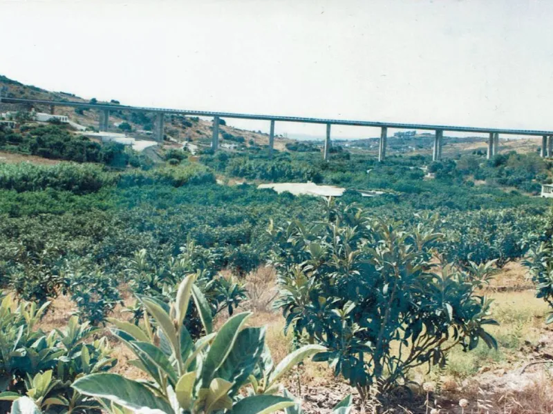Rustic plot in Guadalobón, Estepona West, with one hectare, sixty-seven areas and sixty-seven centiareas, equivalent to three bushels and nine bushels of land of the measure of the country, of these one fanega and nine bushel trees with trees frutales and