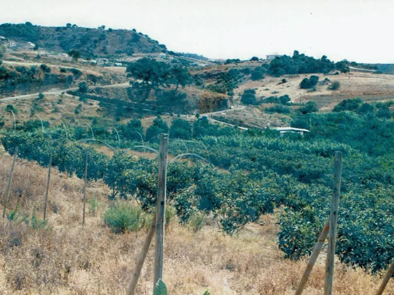 Rustic plot in Guadalobón, Estepona West, with one hectare, sixty-seven areas and sixty-seven centiareas, equivalent to three bushels and nine bushels of land of the measure of the country, of these one fanega and nine bushel trees with trees frutales and