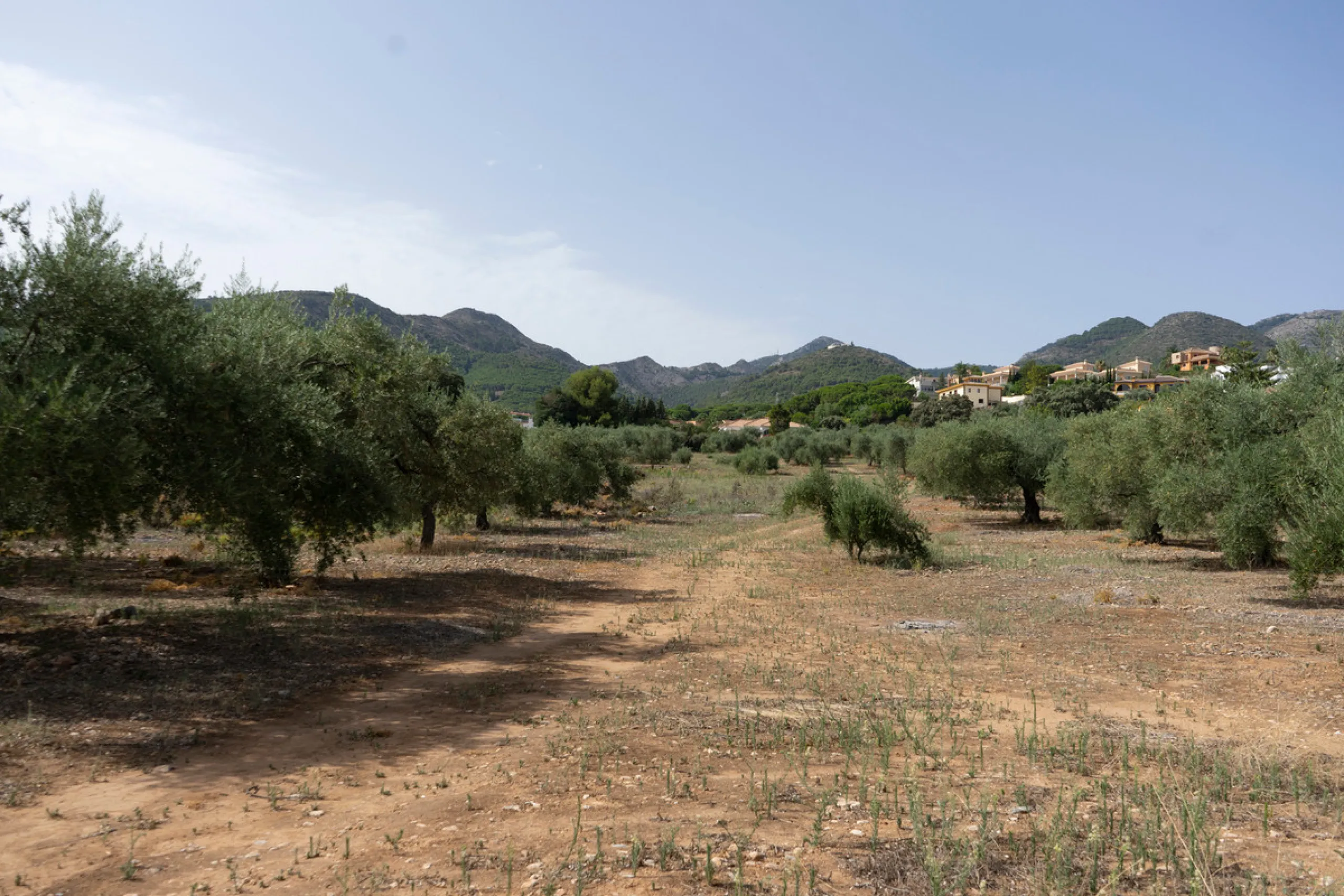 A 25,510 m² urban plot in Pinos de Alhaurín (Alhaurín de la Torre) offering multiple development possibilities in a peaceful, natural setting. A highlighted concept includes 17 independent villas on ~1,000 m² plots arranged from a central driveway, togeth