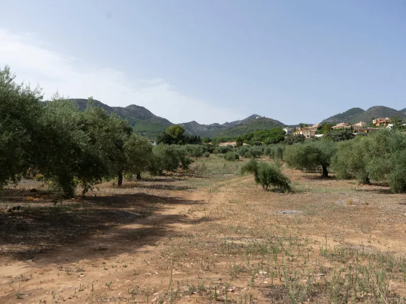 A 25,510 m² urban plot in Pinos de Alhaurín (Alhaurín de la Torre) offering multiple development possibilities in a peaceful, natural setting. A highlighted concept includes 17 independent villas on ~1,000 m² plots arranged from a central driveway, togeth