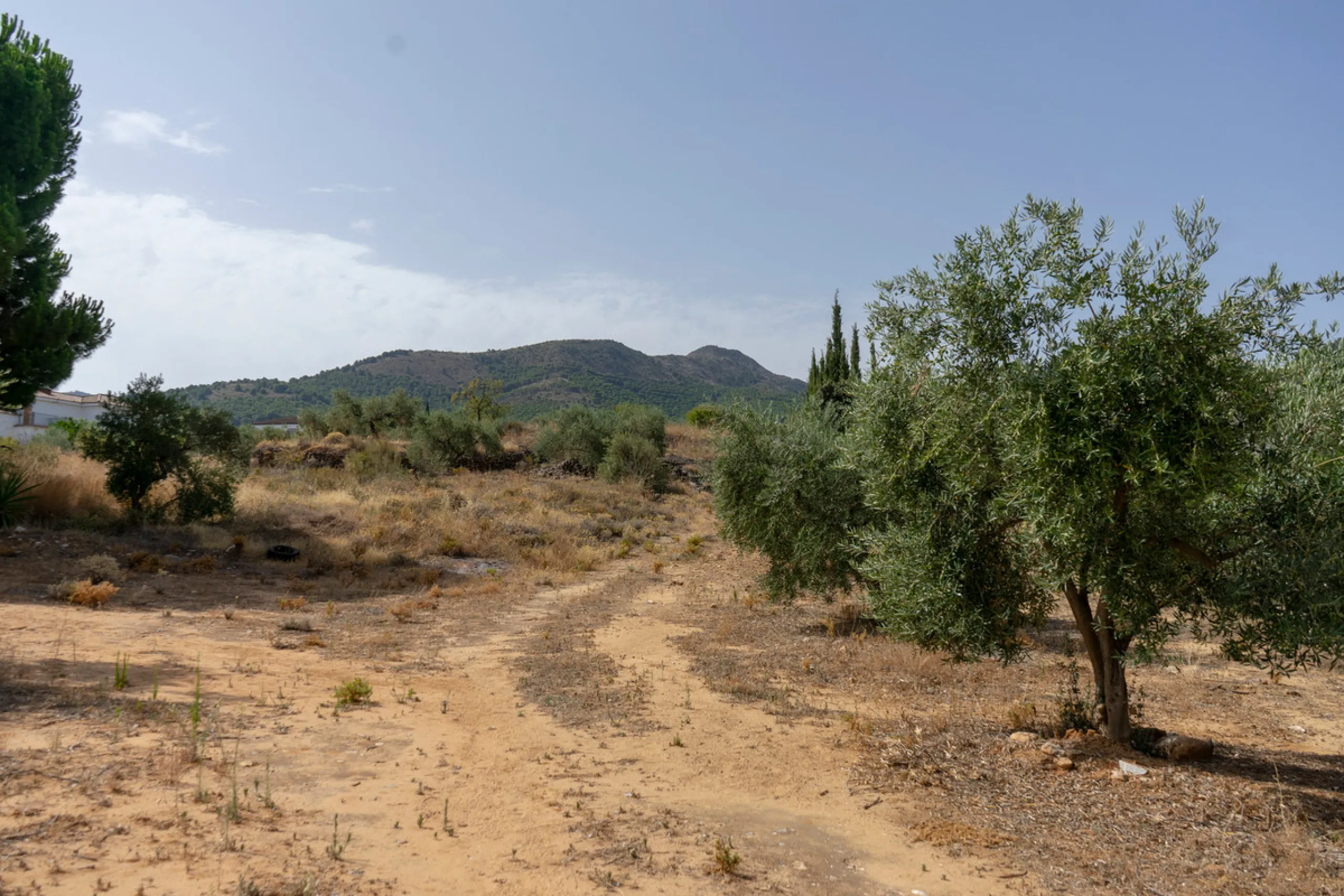 A 25,510 m² urban plot in Pinos de Alhaurín (Alhaurín de la Torre) offering multiple development possibilities in a peaceful, natural setting. A highlighted concept includes 17 independent villas on ~1,000 m² plots arranged from a central driveway, togeth