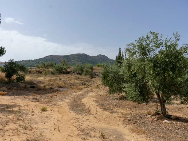 A 25,510 m² urban plot in Pinos de Alhaurín (Alhaurín de la Torre) offering multiple development possibilities in a peaceful, natural setting. A highlighted concept includes 17 independent villas on ~1,000 m² plots arranged from a central driveway, togeth