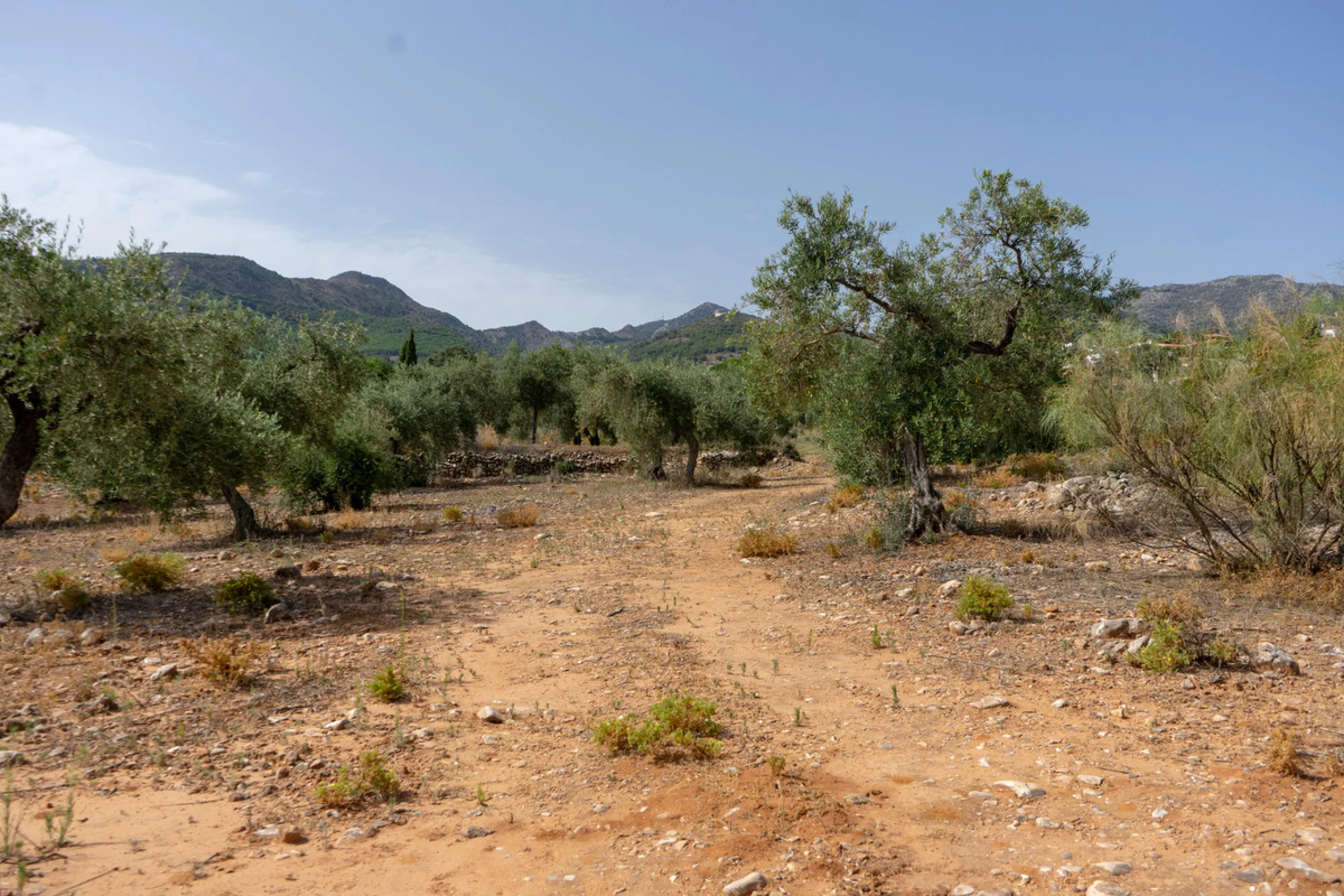 A 25,510 m² urban plot in Pinos de Alhaurín (Alhaurín de la Torre) offering multiple development possibilities in a peaceful, natural setting. A highlighted concept includes 17 independent villas on ~1,000 m² plots arranged from a central driveway, togeth