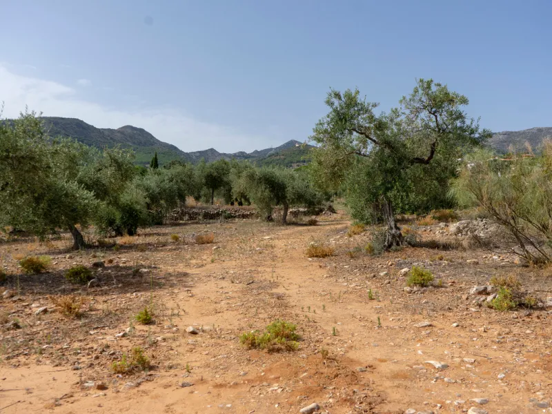 A 25,510 m² urban plot in Pinos de Alhaurín (Alhaurín de la Torre) offering multiple development possibilities in a peaceful, natural setting. A highlighted concept includes 17 independent villas on ~1,000 m² plots arranged from a central driveway, togeth