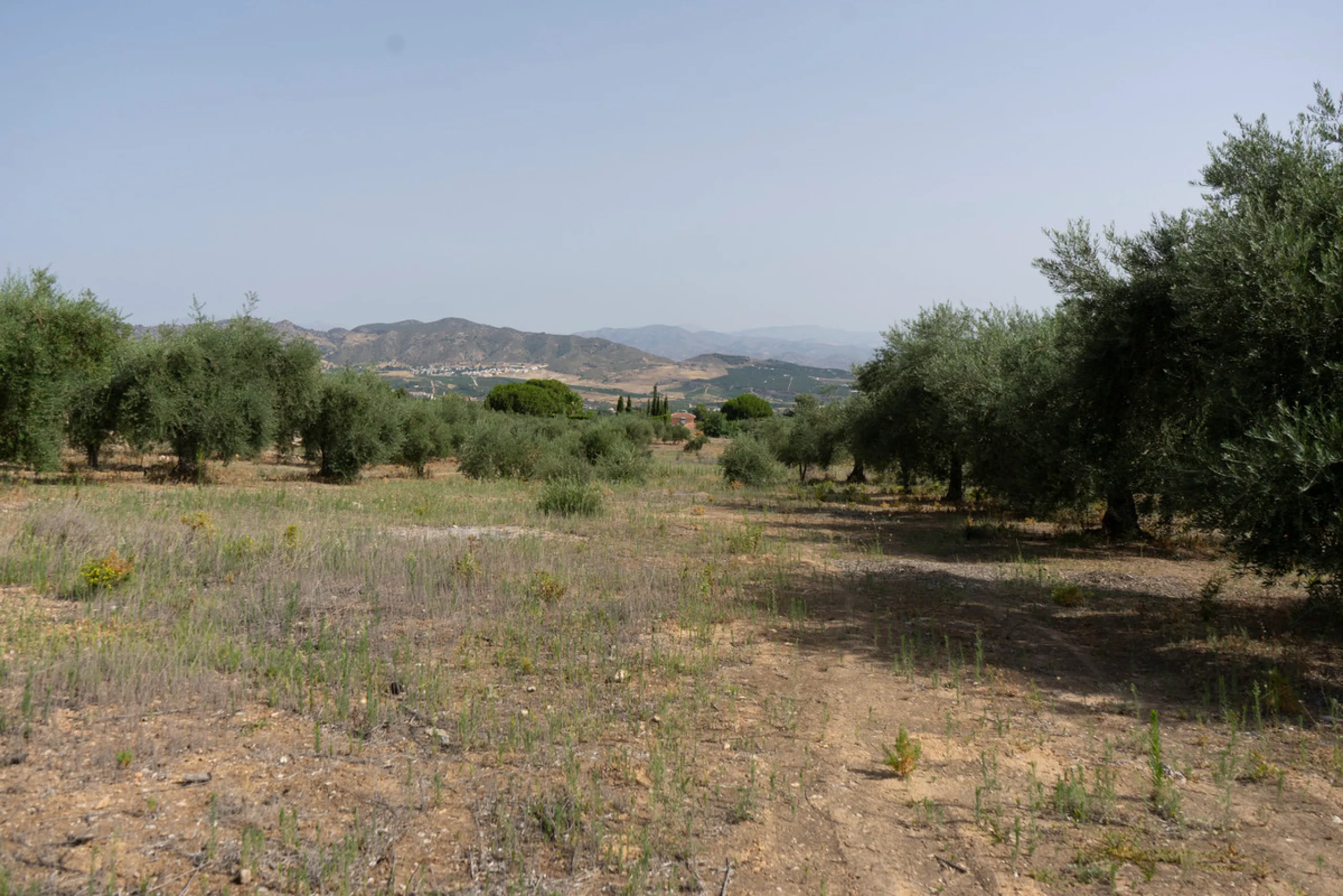 A 25,510 m² urban plot in Pinos de Alhaurín (Alhaurín de la Torre) offering multiple development possibilities in a peaceful, natural setting. A highlighted concept includes 17 independent villas on ~1,000 m² plots arranged from a central driveway, togeth