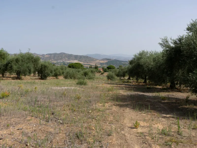 A 25,510 m² urban plot in Pinos de Alhaurín (Alhaurín de la Torre) offering multiple development possibilities in a peaceful, natural setting. A highlighted concept includes 17 independent villas on ~1,000 m² plots arranged from a central driveway, togeth