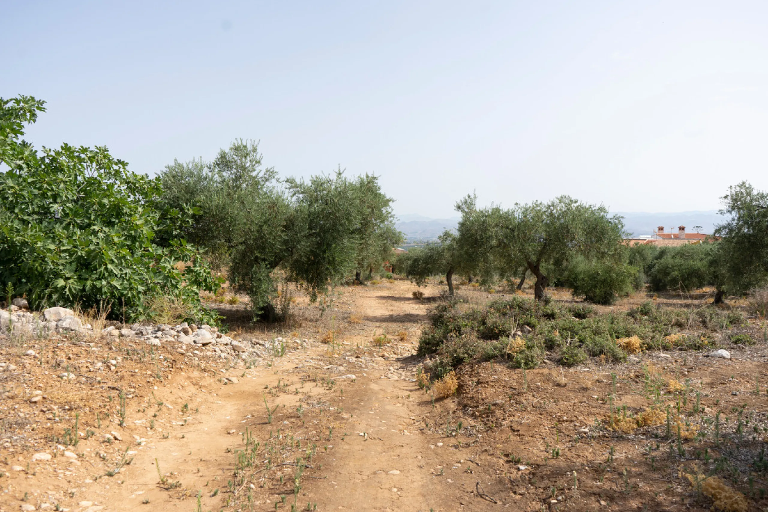 A 25,510 m² urban plot in Pinos de Alhaurín (Alhaurín de la Torre) offering multiple development possibilities in a peaceful, natural setting. A highlighted concept includes 17 independent villas on ~1,000 m² plots arranged from a central driveway, togeth