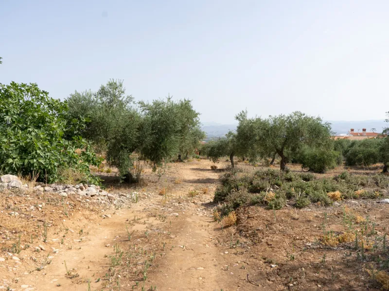 A 25,510 m² urban plot in Pinos de Alhaurín (Alhaurín de la Torre) offering multiple development possibilities in a peaceful, natural setting. A highlighted concept includes 17 independent villas on ~1,000 m² plots arranged from a central driveway, togeth