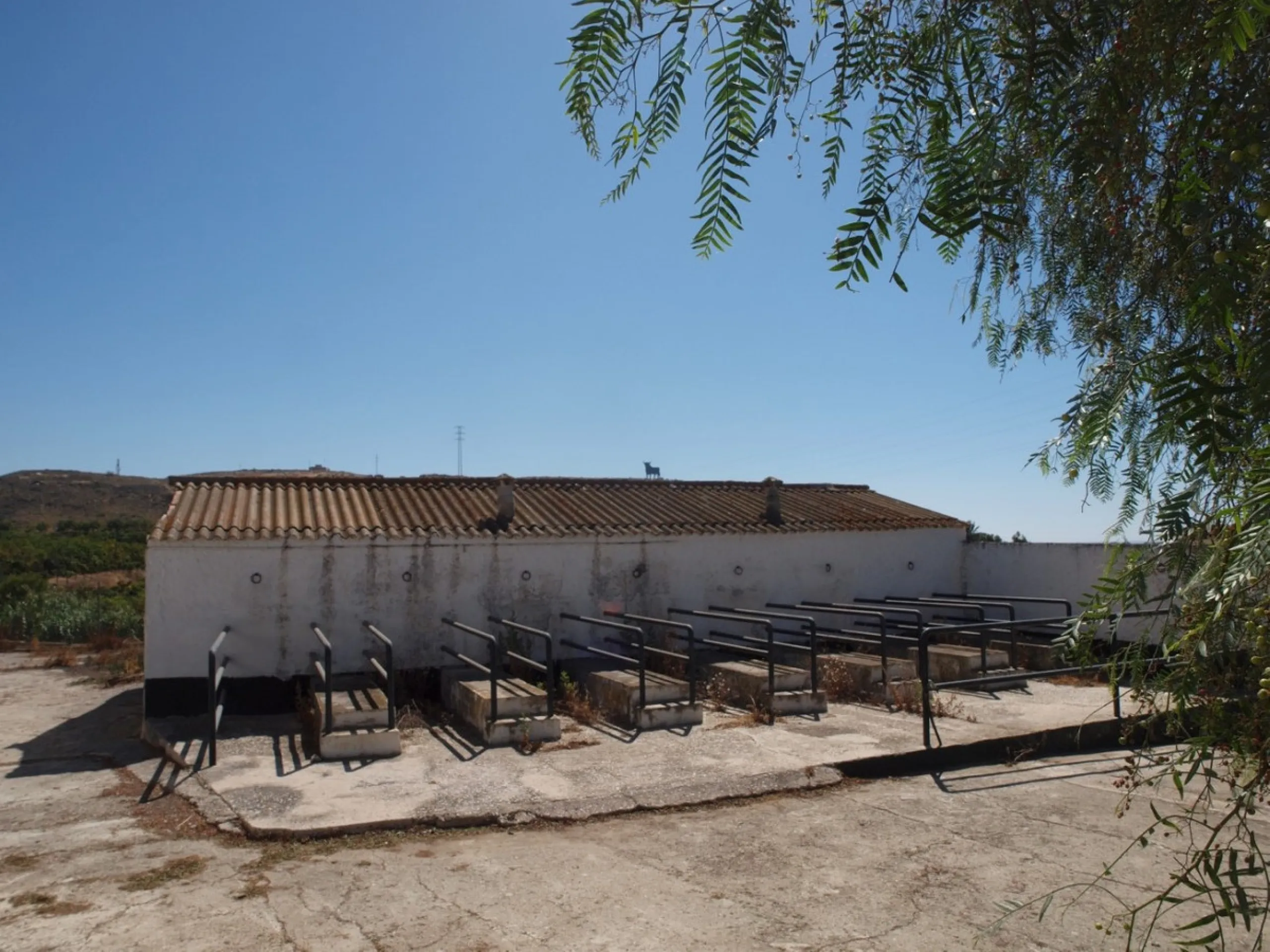 Cortijo de la Finca "El Recreo" - это дом более 100 лет, в котором сохранились все элементы типичных андалузских домов Кортихо. Он имеет центральный андалузский внутренний дворик, который распределяется на первом этаже, в сторону спальни-кухни, в которой 