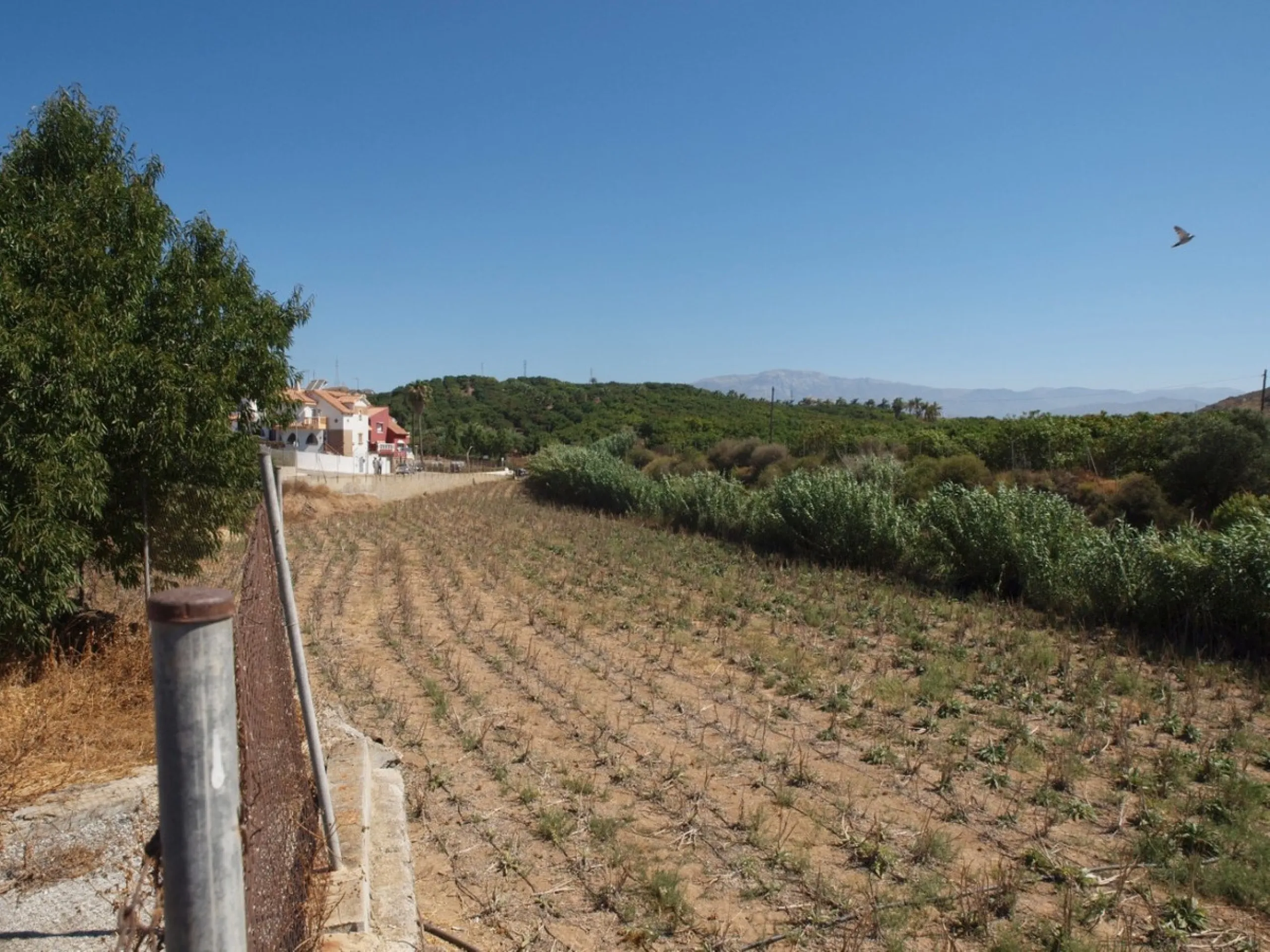 Cortijo de la Finca "El Recreo" - это дом более 100 лет, в котором сохранились все элементы типичных андалузских домов Кортихо. Он имеет центральный андалузский внутренний дворик, который распределяется на первом этаже, в сторону спальни-кухни, в которой 