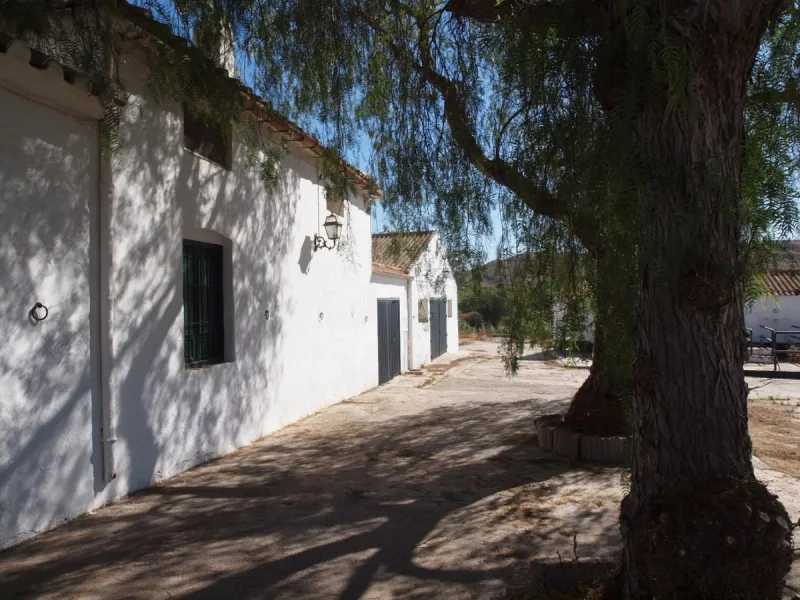 Cortijo de la Finca "El Recreo" - это дом более 100 лет, в котором сохранились все элементы типичных андалузских домов Кортихо. Он имеет центральный андалузский внутренний дворик, который распределяется на первом этаже, в сторону спальни-кухни, в которой 
