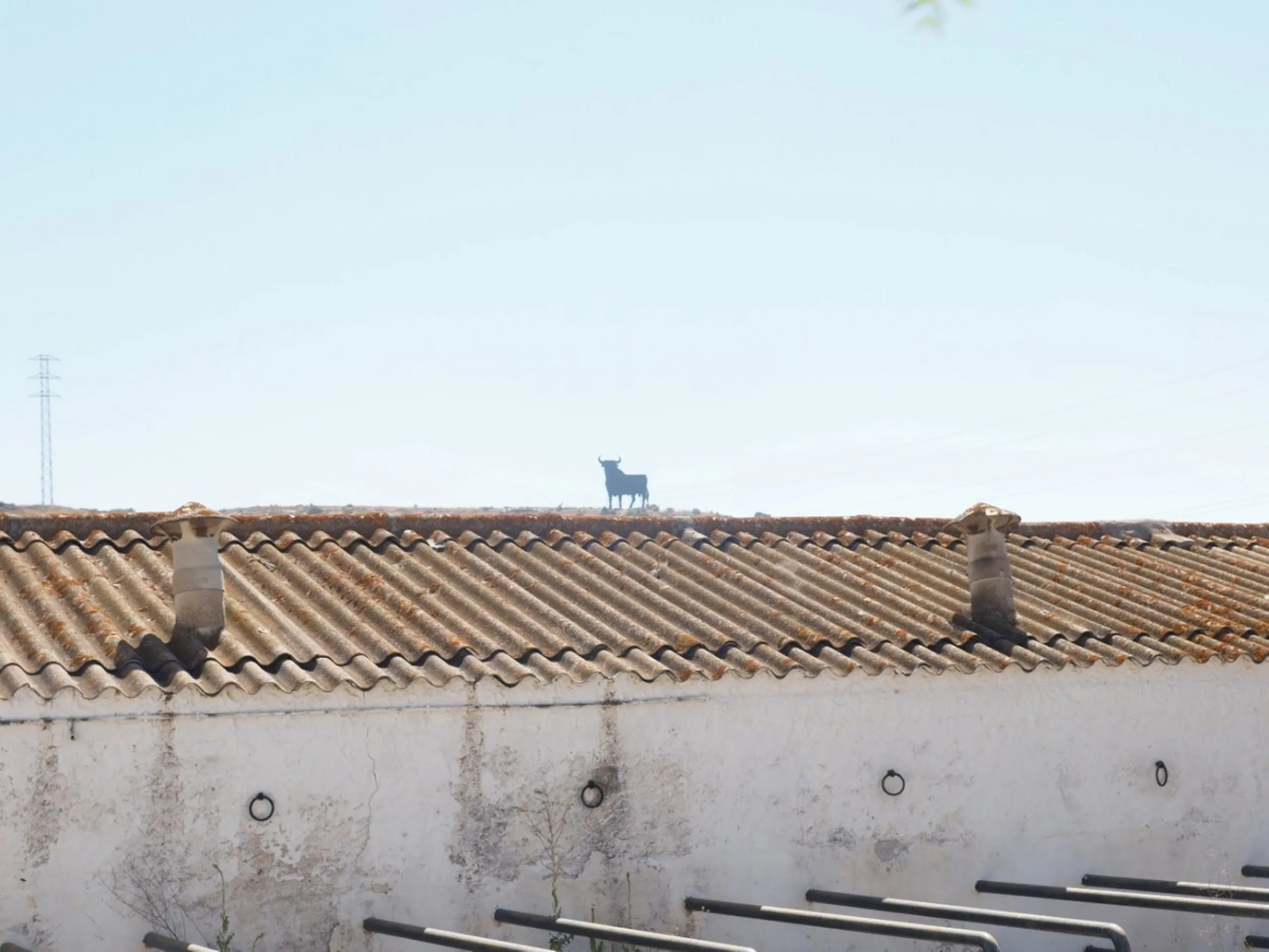 Cortijo de la Finca "El Recreo" - это дом более 100 лет, в котором сохранились все элементы типичных андалузских домов Кортихо. Он имеет центральный андалузский внутренний дворик, который распределяется на первом этаже, в сторону спальни-кухни, в которой 