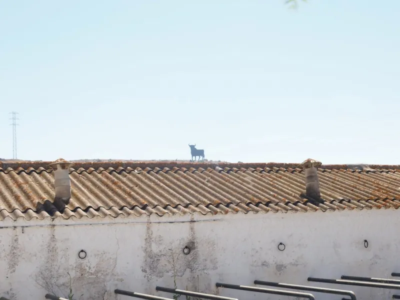 Cortijo de la Finca "El Recreo" - это дом более 100 лет, в котором сохранились все элементы типичных андалузских домов Кортихо. Он имеет центральный андалузский внутренний дворик, который распределяется на первом этаже, в сторону спальни-кухни, в которой 