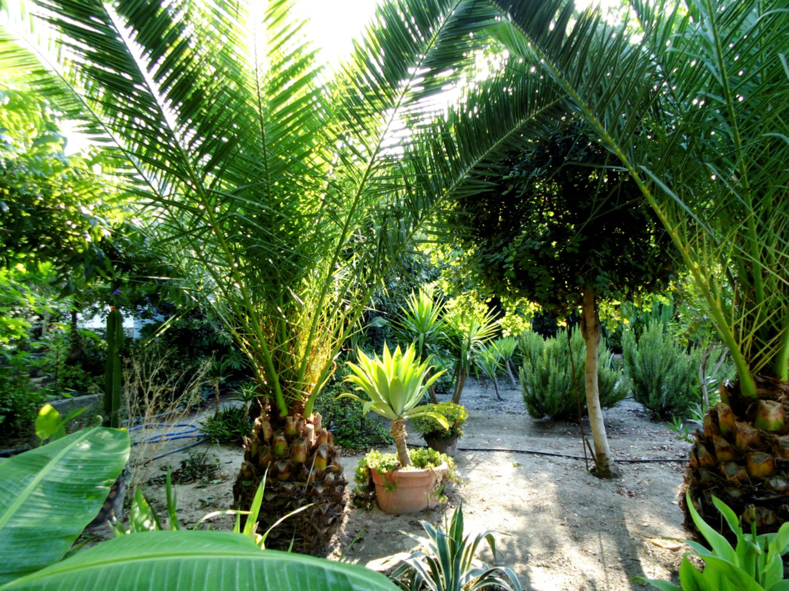 Вилла/Шале, Coín, Costa del Sol