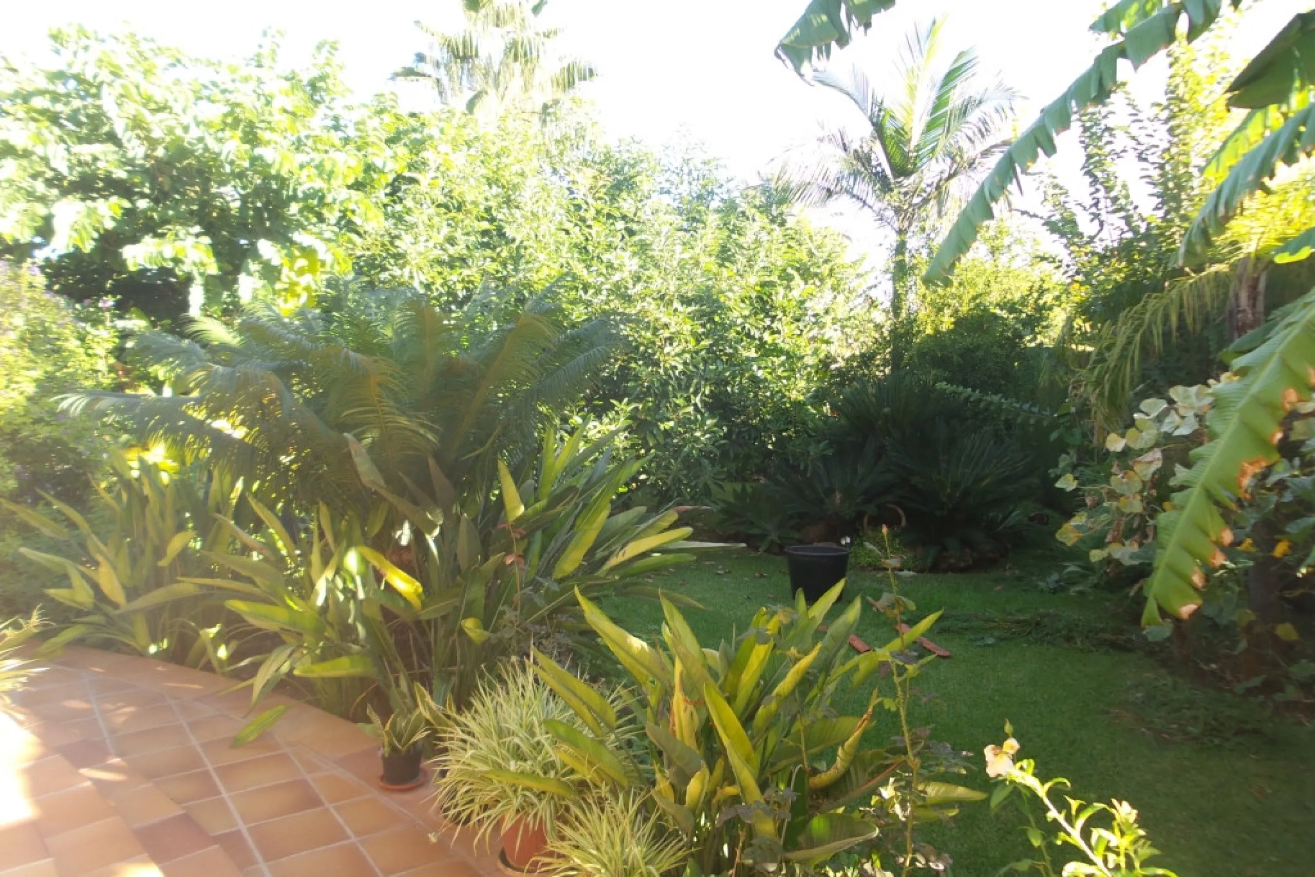 House - Detached Villa в продаже в Alhaurín de la Torre, Málaga. В доме 5 спален и 4 ванных комнат. Площадь дома 444 м². Площадь участка 1010 м²