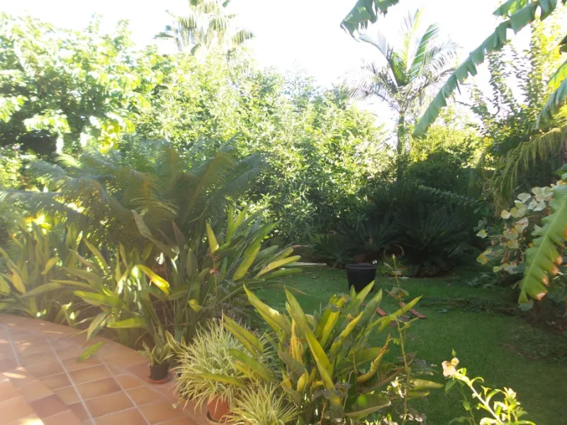 House - Detached Villa в продаже в Alhaurín de la Torre, Málaga. В доме 5 спален и 4 ванных комнат. Площадь дома 444 м². Площадь участка 1010 м²