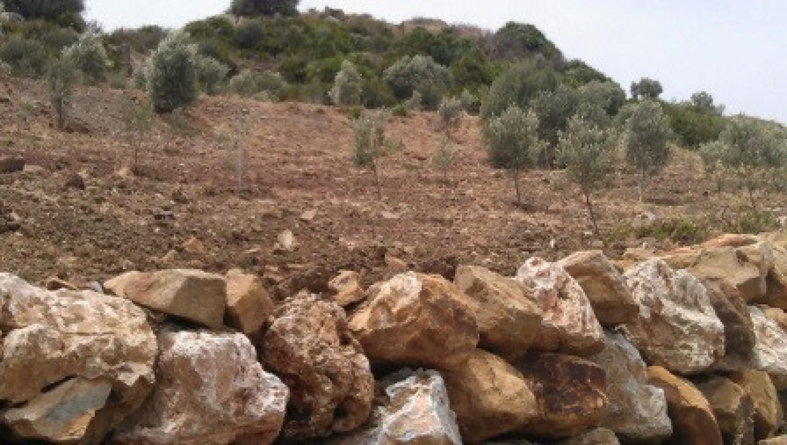 Residential Plot, Estepona, Costa del Sol.