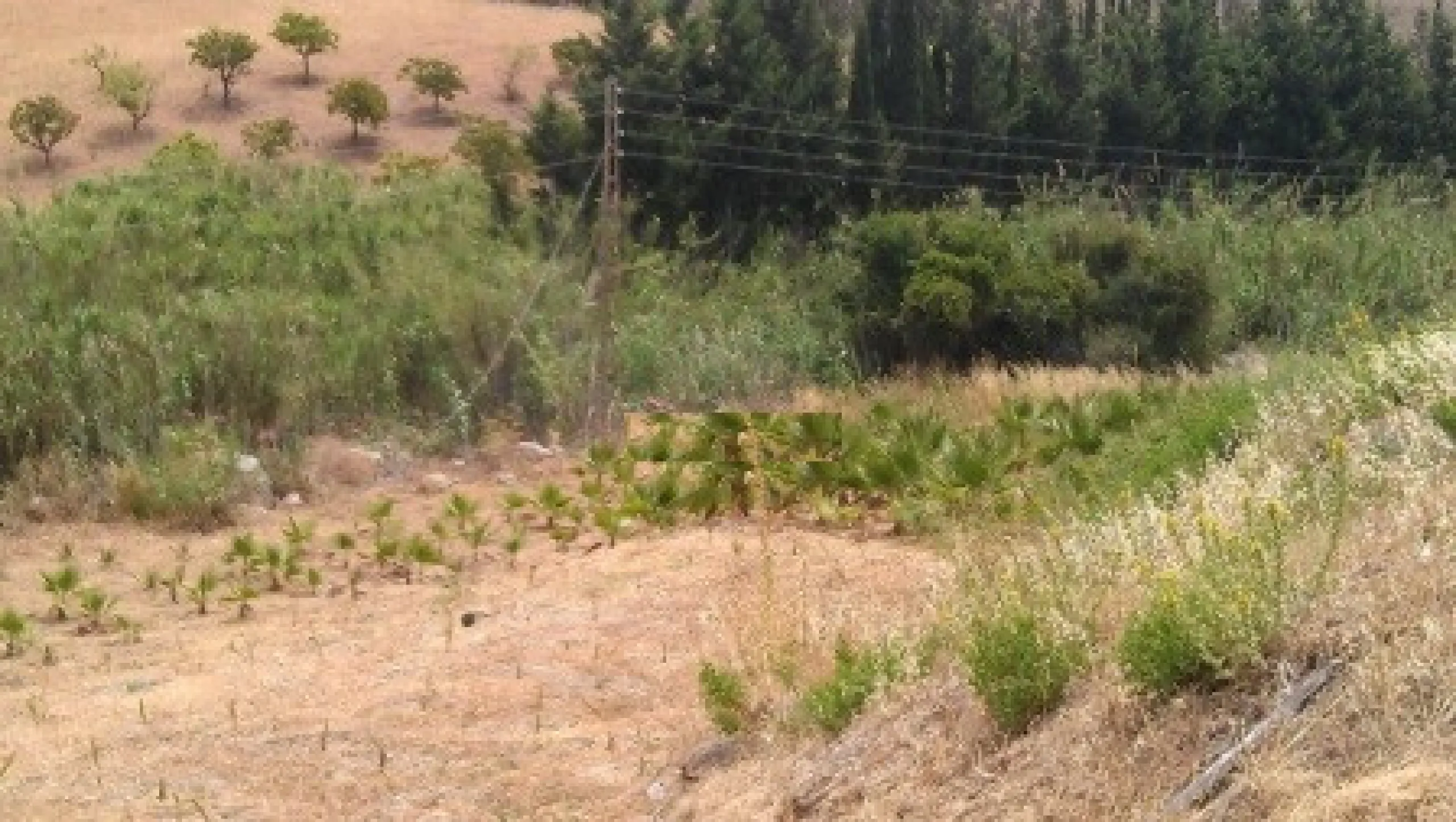 Residential Plot, Estepona, Costa del Sol.