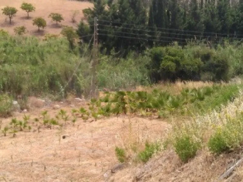 Residential Plot, Estepona, Costa del Sol.