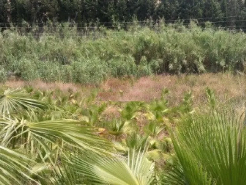 Residential Plot, Estepona, Costa del Sol.