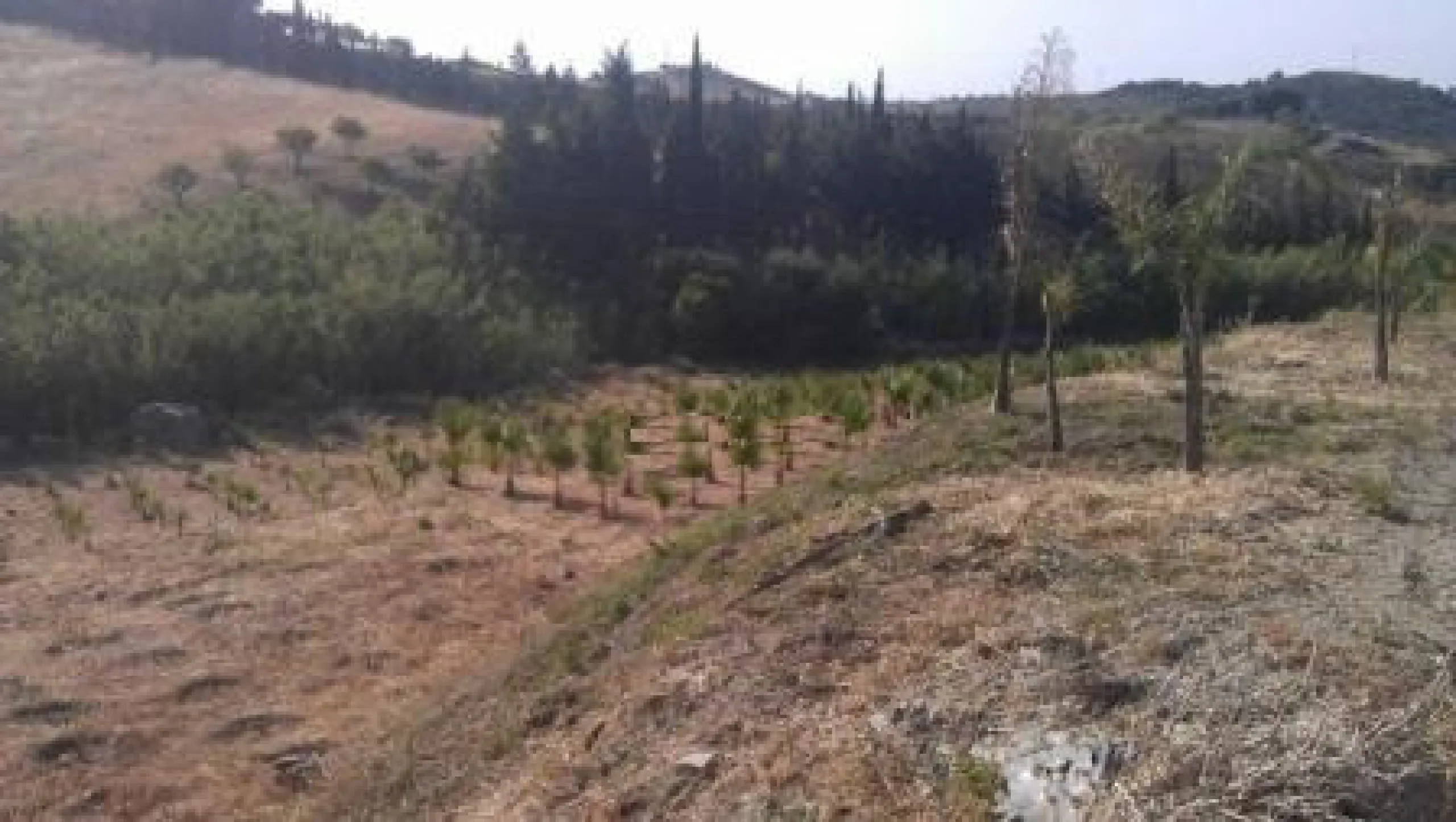 Residential Plot, Estepona, Costa del Sol.