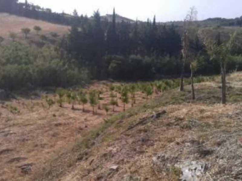Residential Plot, Estepona, Costa del Sol.