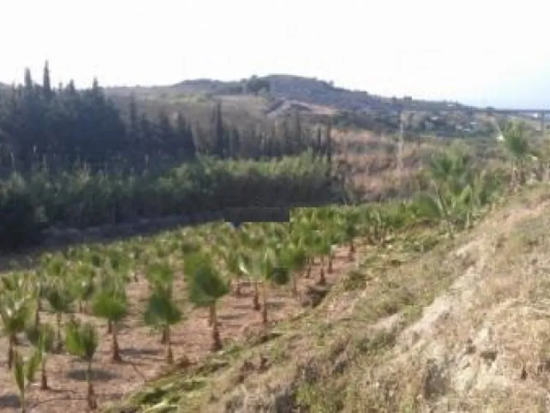 Residential Plot, Estepona, Costa del Sol.