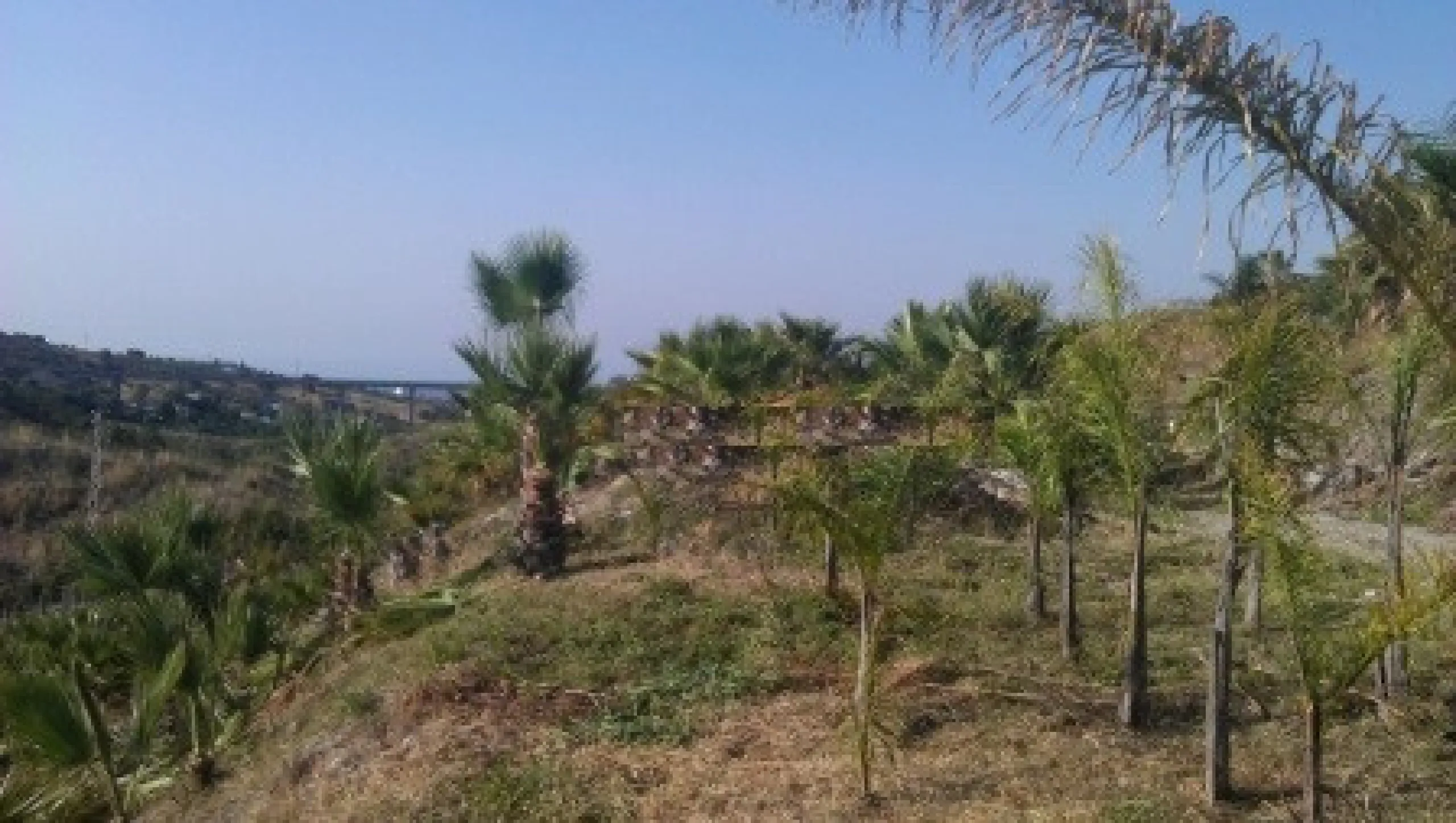 Residential Plot, Estepona, Costa del Sol.