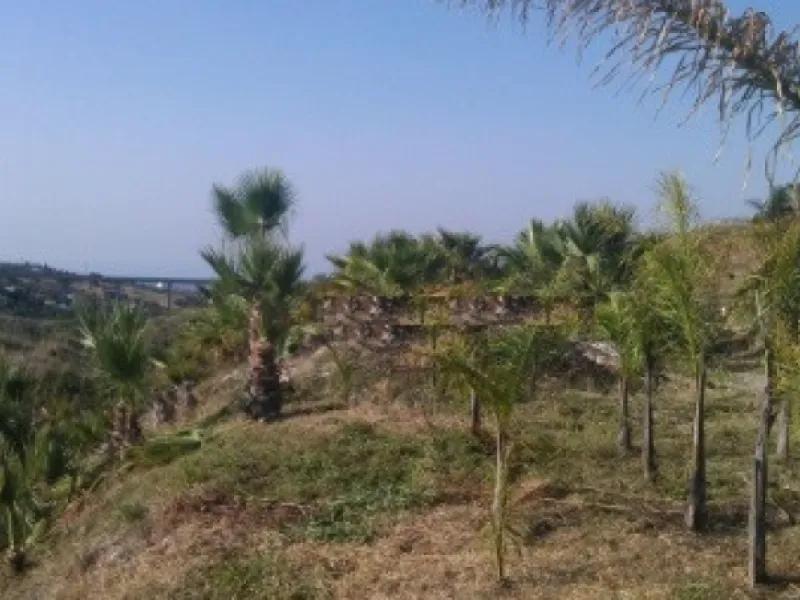 Residential Plot, Estepona, Costa del Sol.